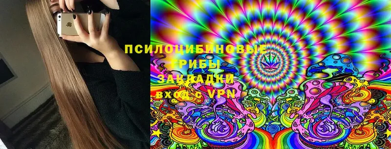 Псилоцибиновые грибы Cubensis  как найти   hydra маркетплейс  Нелидово 